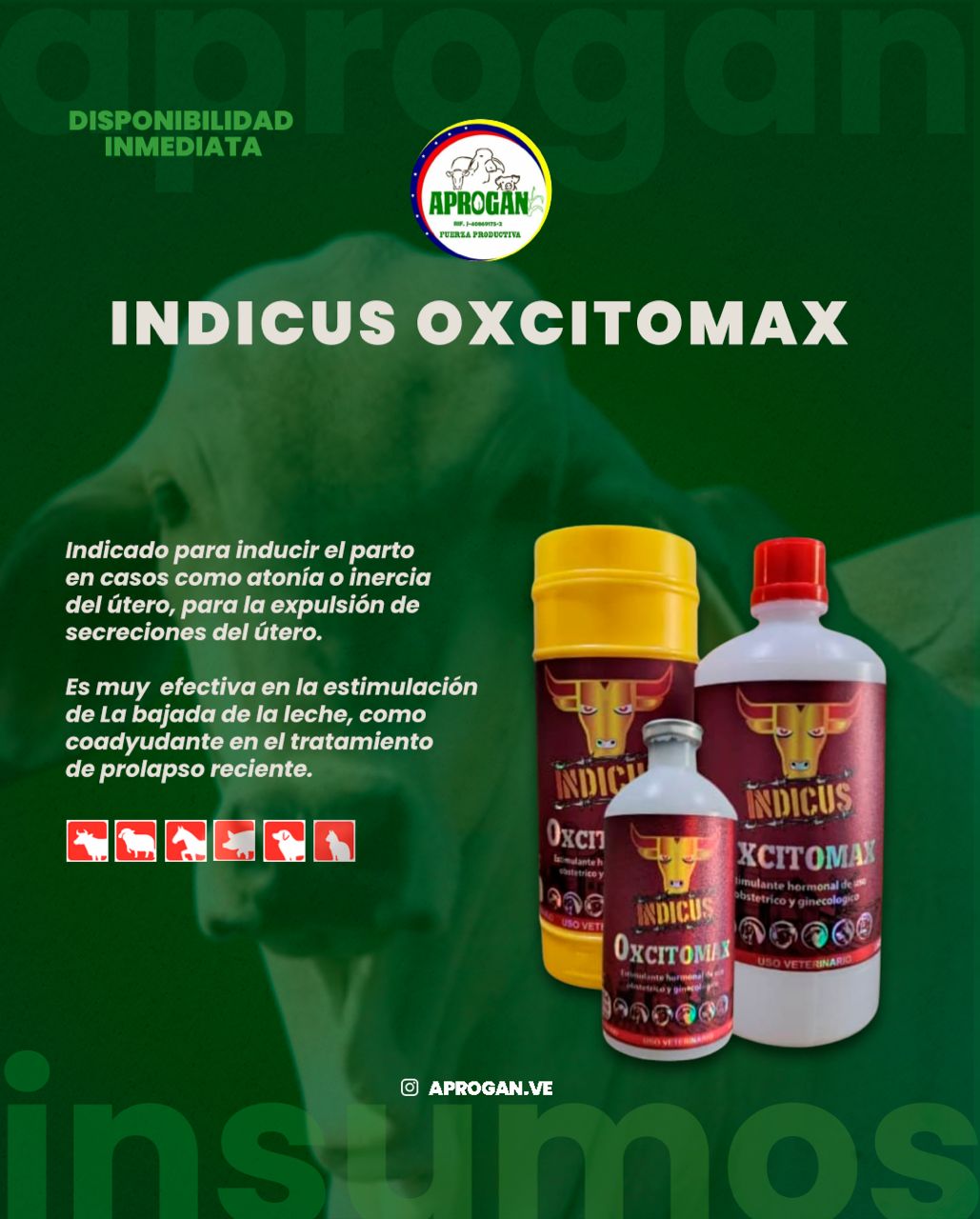 OXCITOMAX X 100 ML INDICUS