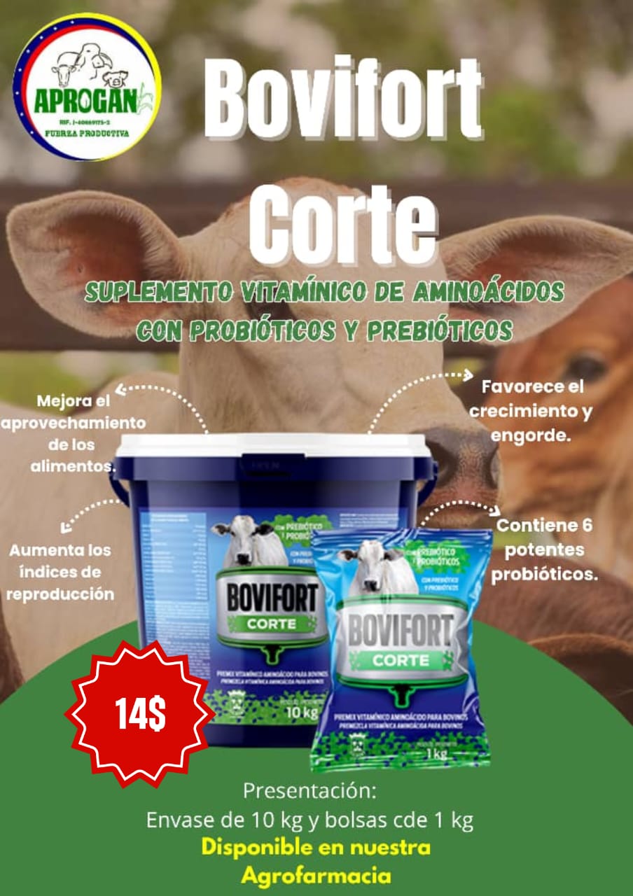BOVIFORT CORTE X 1 KG