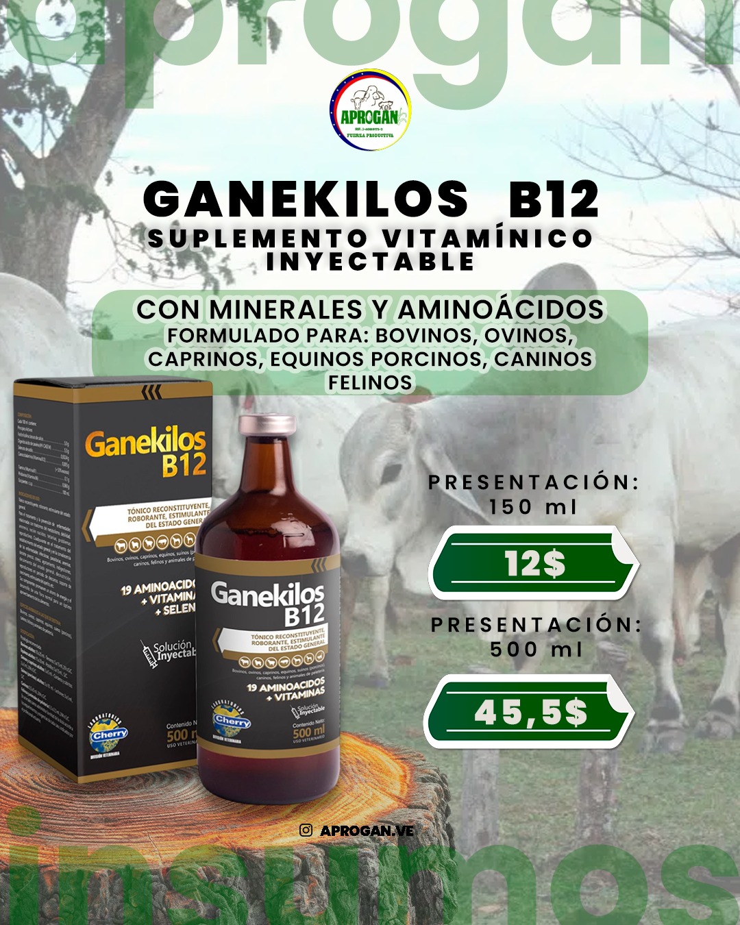 GANEKILOS B12