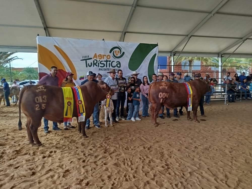 Acceso a oportunidades y crecimiento